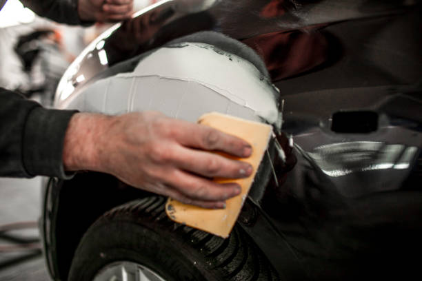 Lafayette, IN Mold Removal Company