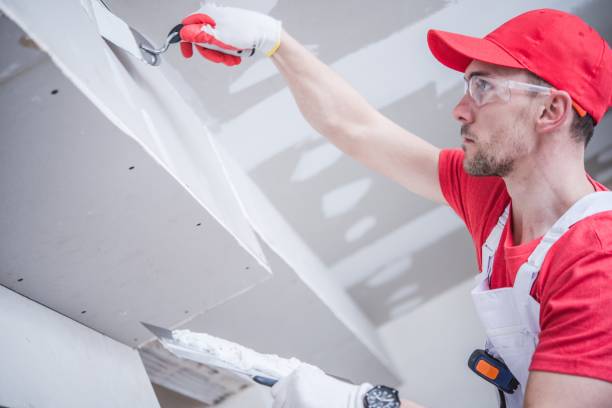 Best Basement Mold Removal  in Lafayette, IN